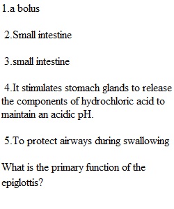 Chapter 3 Quiz